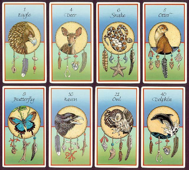 Medicine Cards, The Discovery Of Power Through the Ways of Animals; Jamie Sams & David Carson