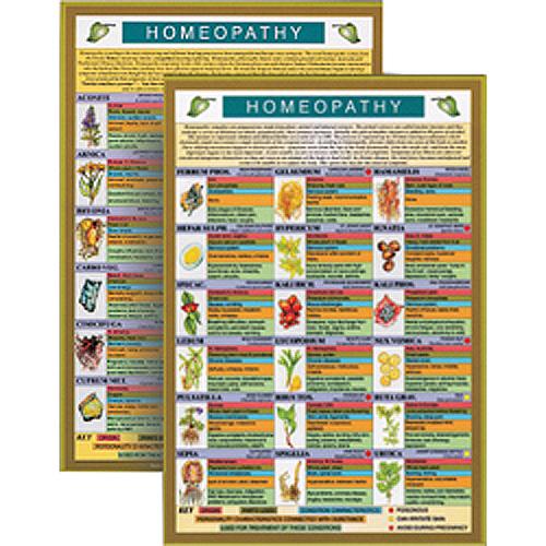 Homeopathy Mini Chart Symbolic Journey Noosa