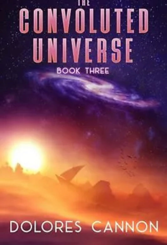 The Convoluted Universe Book 3