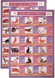 Cat Breeds Mini Chart