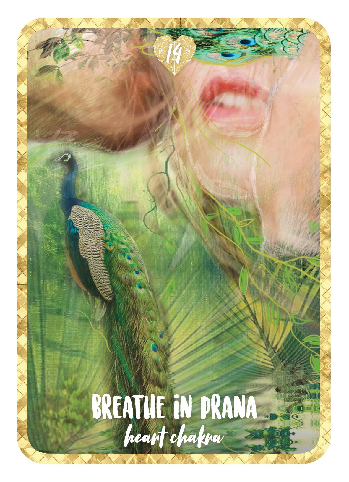 Self Love Oracle: 36 Full-Color Cards & Guidebook