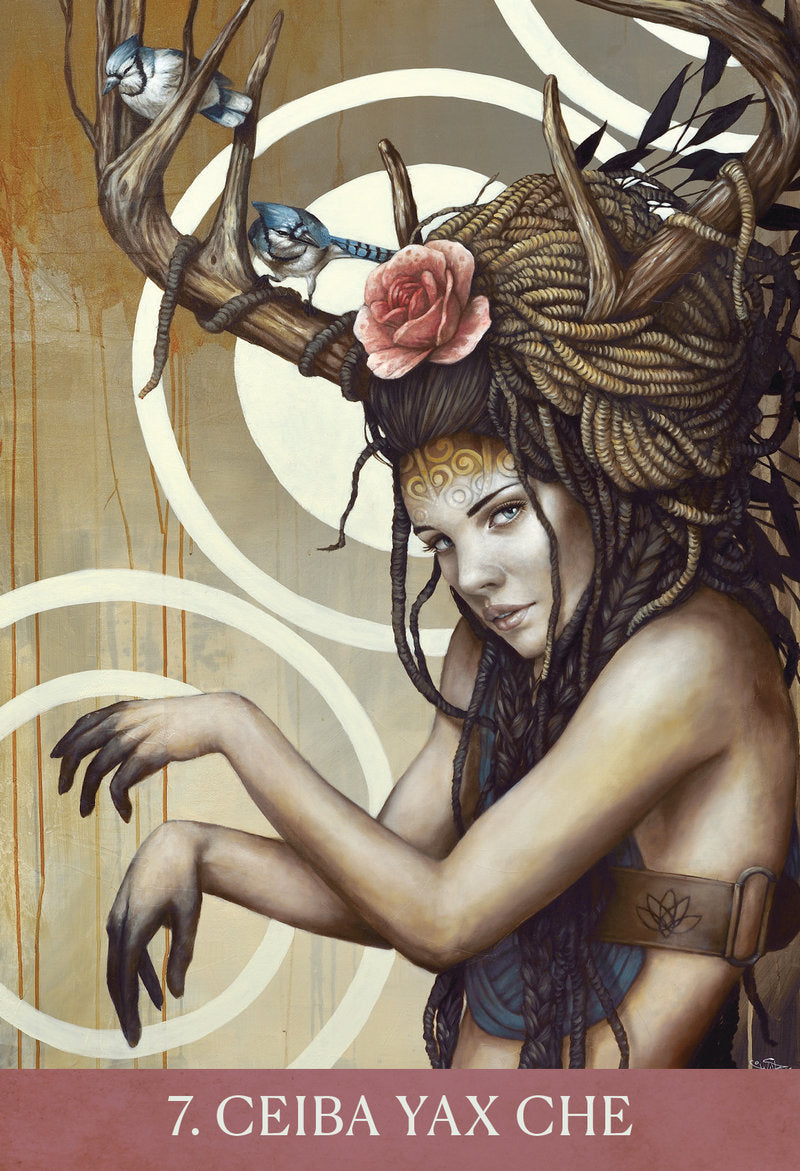 Medicine Heart Oracle; Alana Fairchild