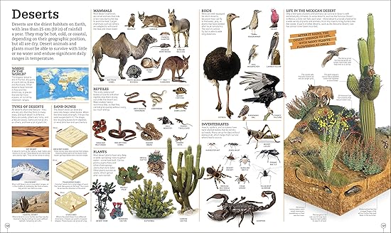 Picturepedia, an Encycopedia on Every Age; DK