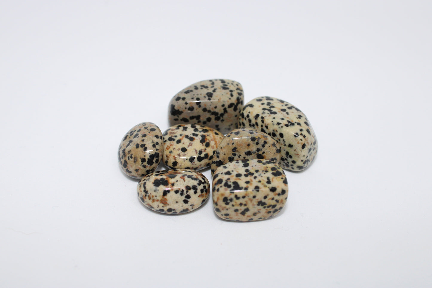 Dalmation Jasper