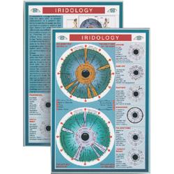 Iridology Mini Chart