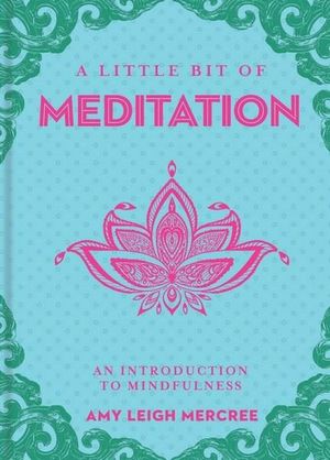 A Little Bit of Meditation; Amy Leigh Mercree