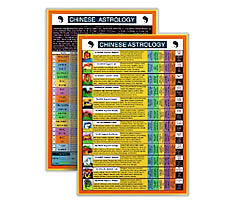 Chinese Astrology Mini Chart