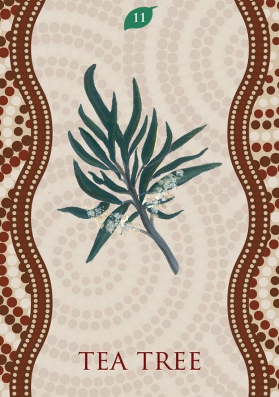 Aboriginal Healing Oracle; Mel Brown