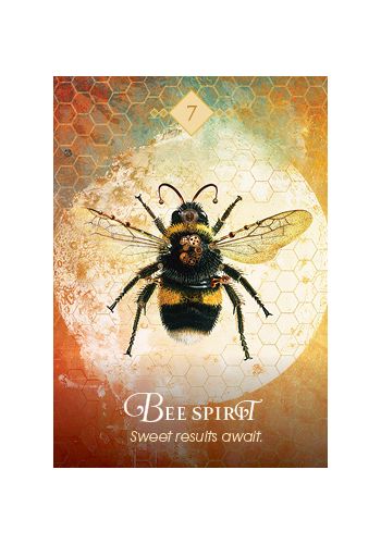 The Spirit Animal Oracle; Colette Baron-Reid